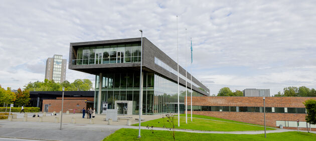 HiØ campus Halden front skyer vei plen
