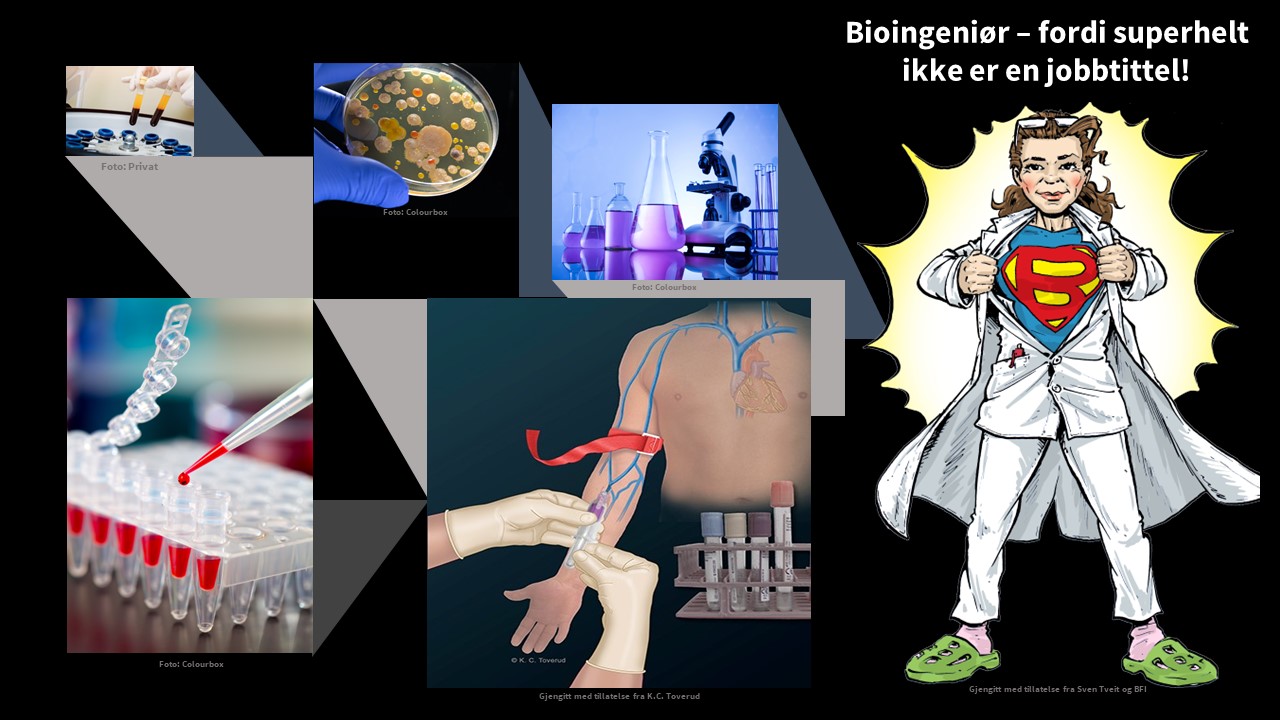 Bioingeniør
