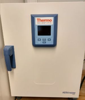 Oven