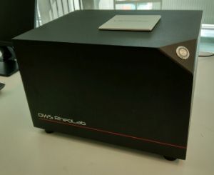 Diffusing Wave Spectroscopy