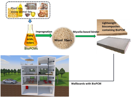 Illustrasjon av Mycobuild-materiale
