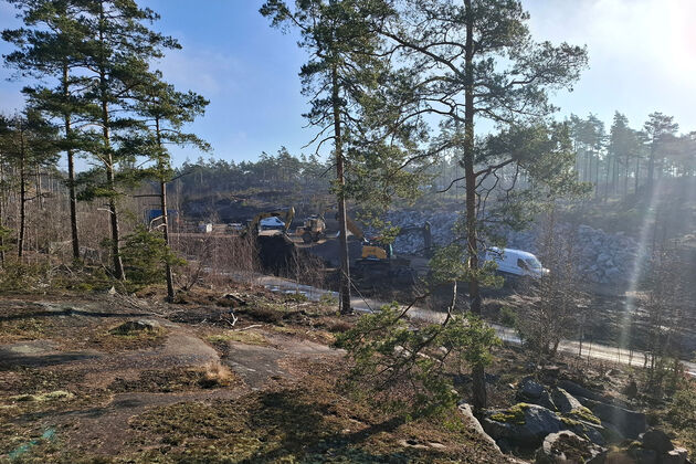nedbygging-natur-langoya-geir-torgersen