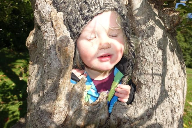 Child in tree