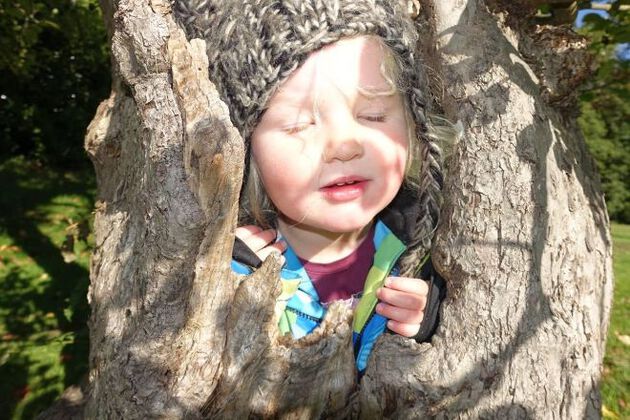 Child in tree