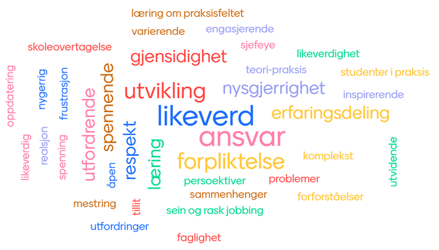 Bildet viser en ordsky, som ble utarbeidet og presentert på seminaret. Begrepene "likeverd", "ansvar", "utvikling" og "forpliktelser" er størst, rundt disse begrepene vises andre begreper.