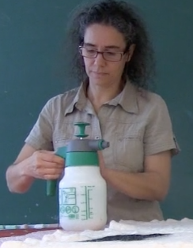Bilde av Samira Jamouchi