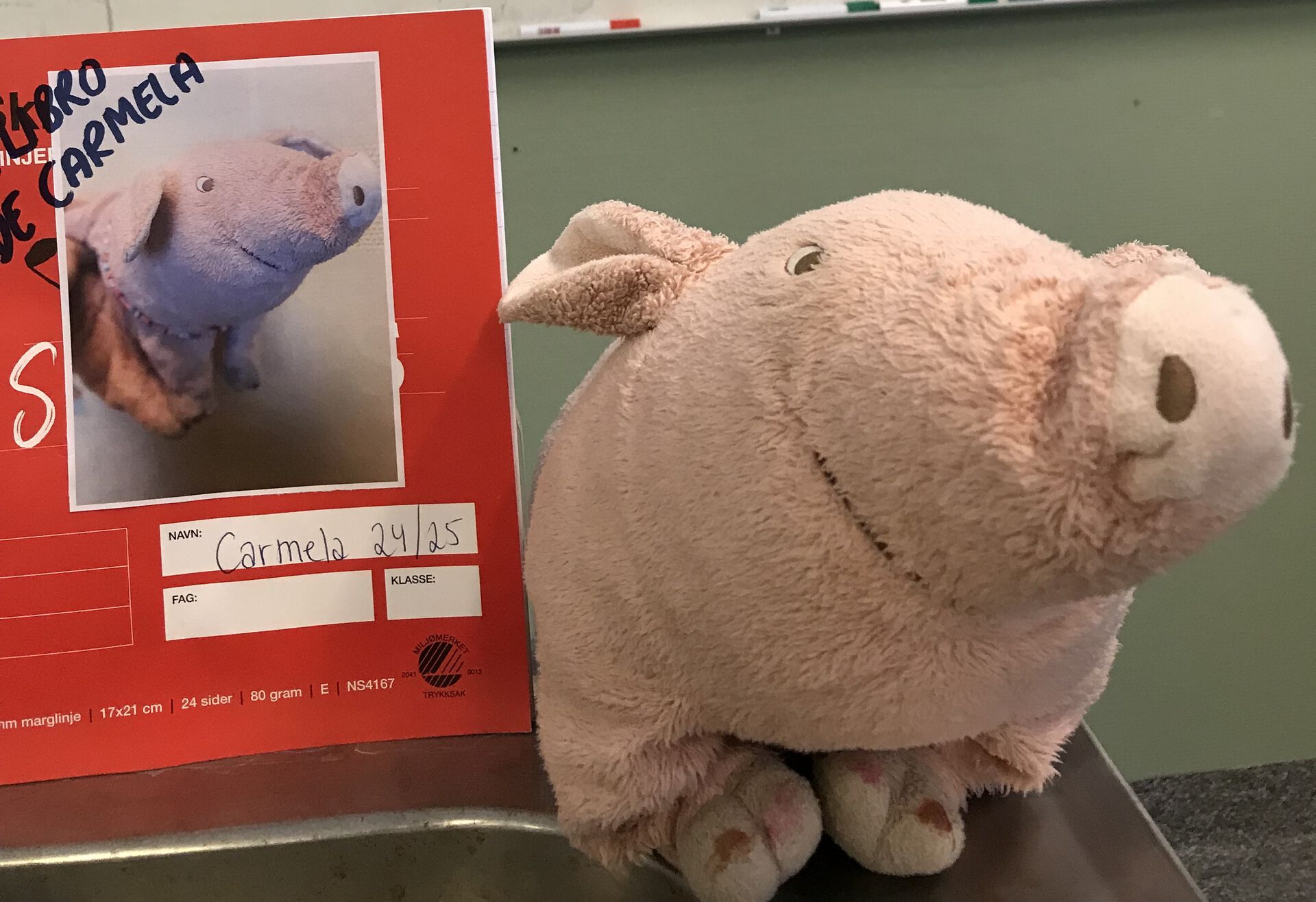 Notat bok og leketøygrisen Carmela.