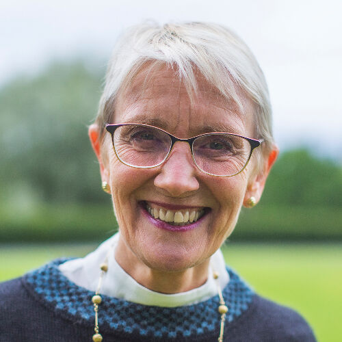 Ny styreleder Anne Borg.