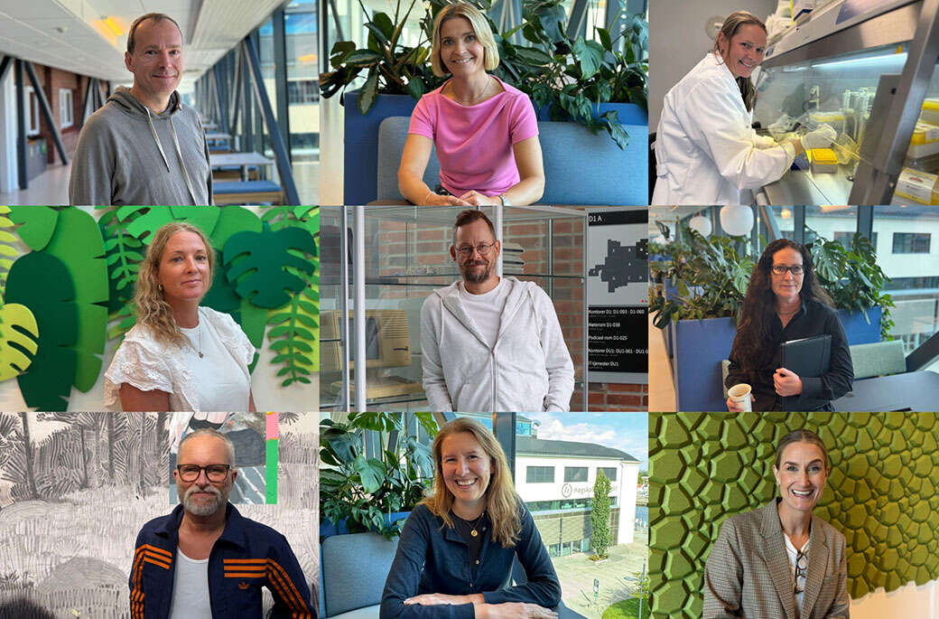 Bildet viser en collage med portrettbilder av alle de ni forskerne.b 