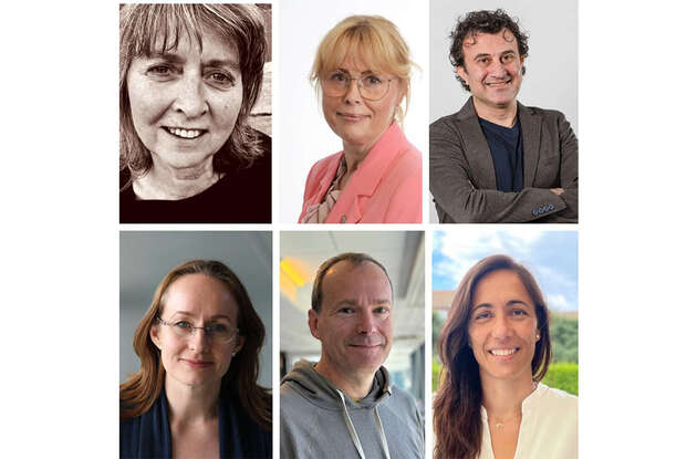 Billedcollage av de nominerte til årets forskningspris.