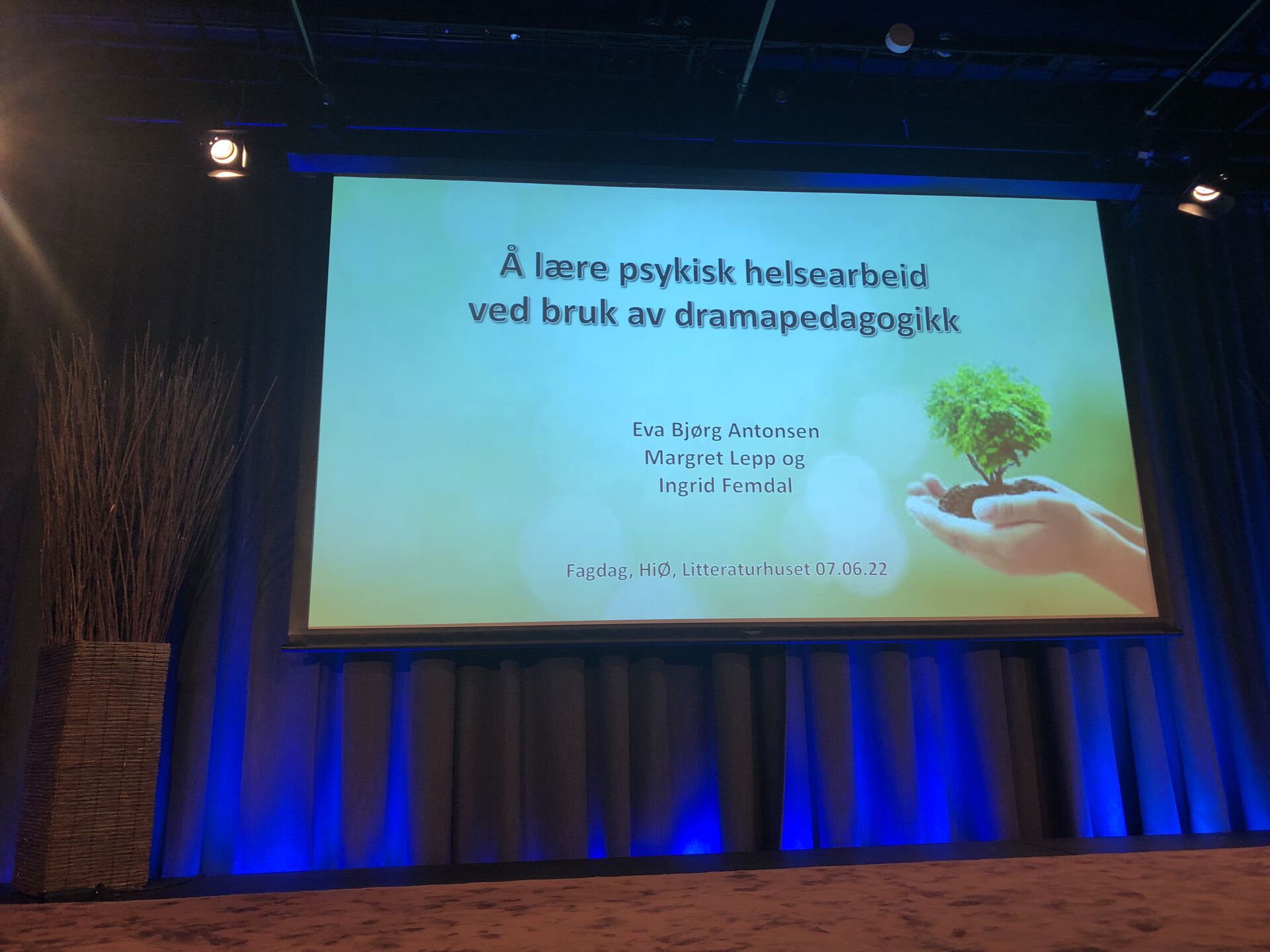 Fra innlegget Å lære psykisk helsearbeid ved bruk av dramapedagogikk