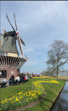 vingmølle elv gress gule blomster himmel