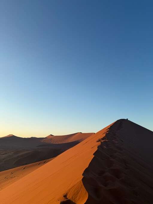 orange sanddyne blå himmel