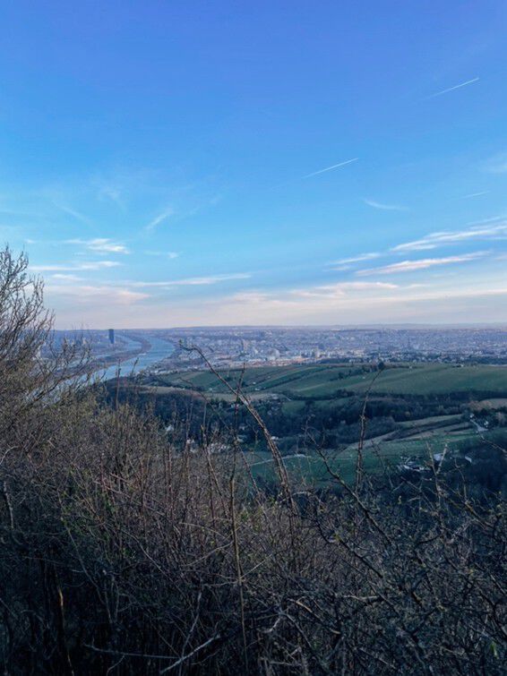 Oversikt blå himmel busker gress wien i det fjerne