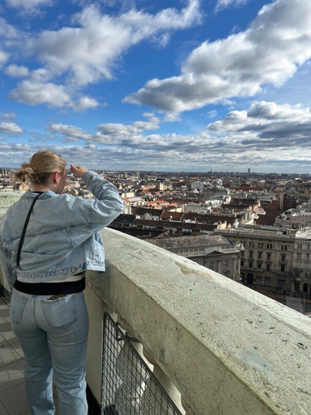 utsikt wien fra takterasse skyer blå himmel student