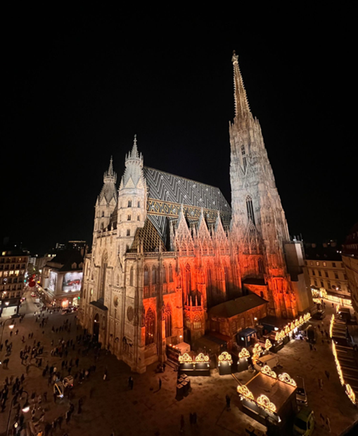 Sankt stephansdomen om natten