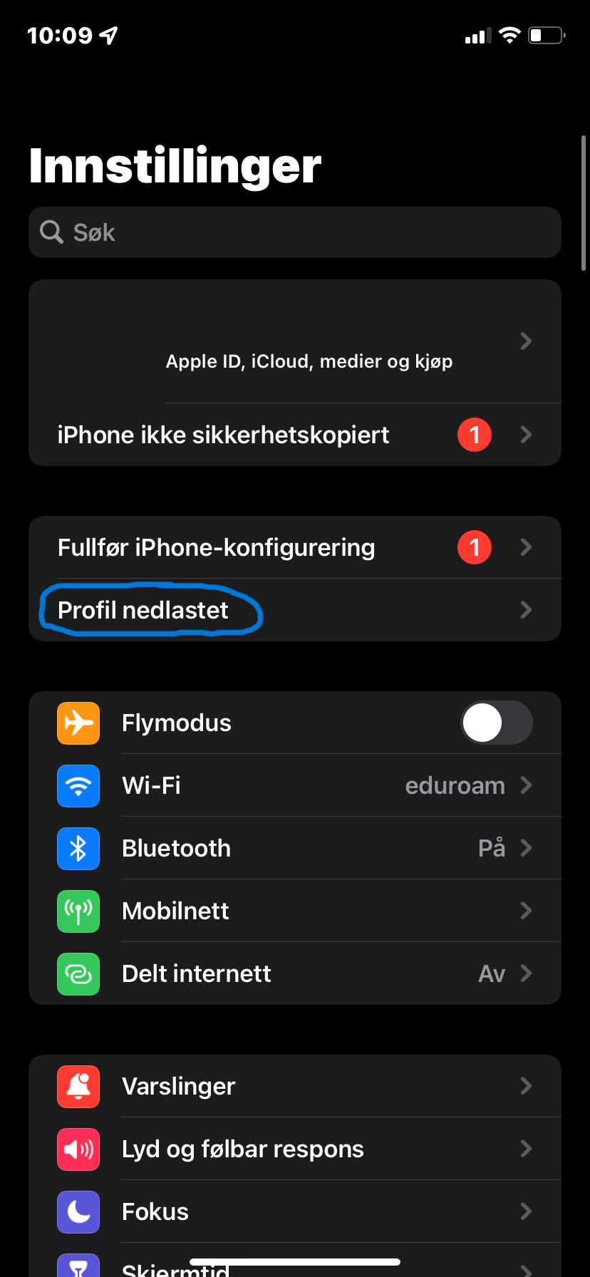 Bilde som viser "Profil nedlastet" knapp