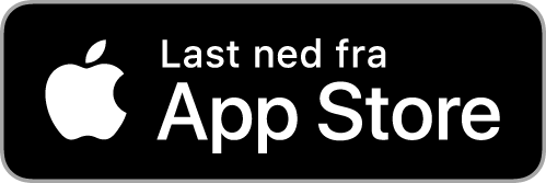 Logo App store