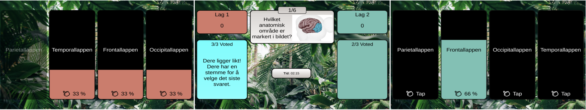Voting Quiz anatomilab
